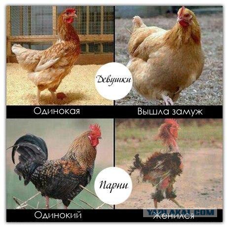 Почему современные мужчины не стремятся в брак