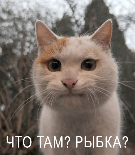 На пляж штата Джорджия выбросило останки динозавра?
