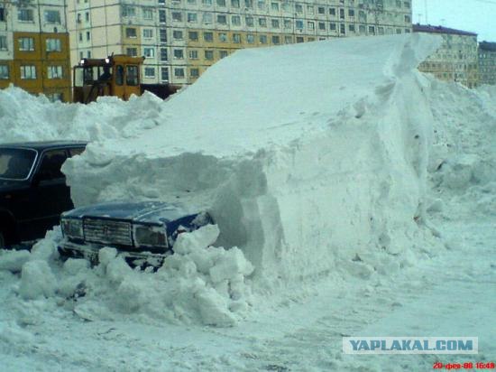 Подснежники гробы. г. Норильск