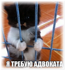 Как любого из нас можно посадить. Немного реальности для самых смелых