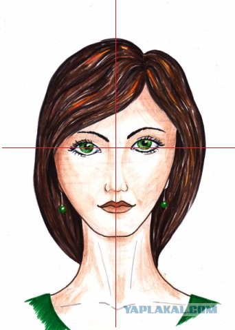 Рисуем голову человека