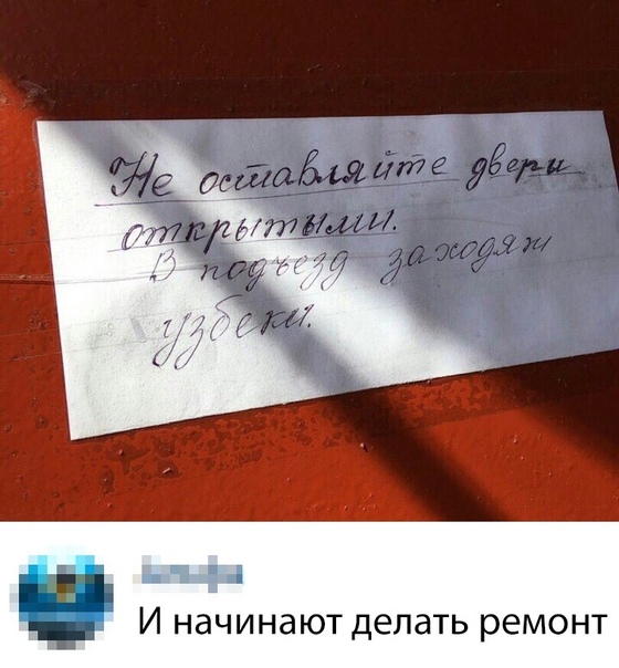 12542794.jpg