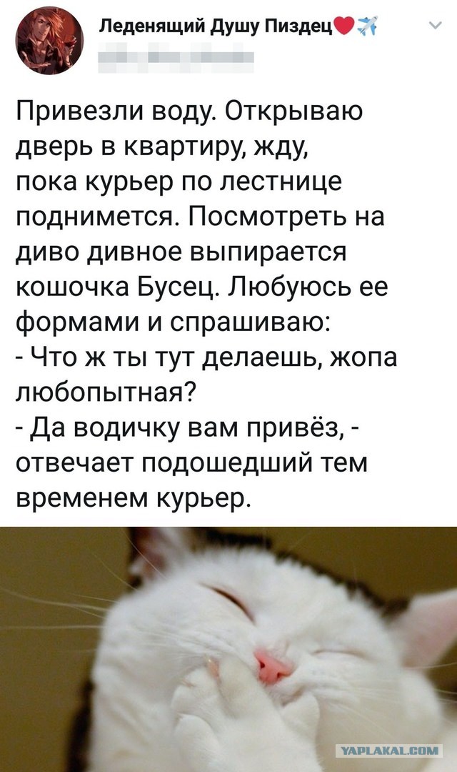Картинки с надписями, истории и анекдоты