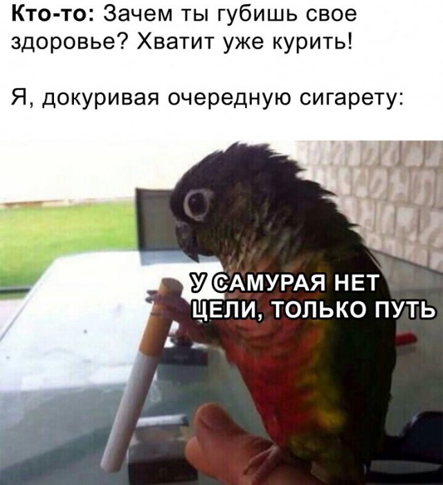 Простопост картинок с лёгким диссонансом и без