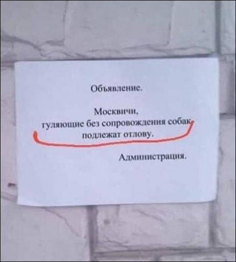 Цифровые пропуска стали госуслугой — безальтернативной