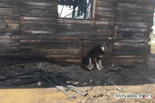 Видео с высоты: пламя выжгло цыганский поселок под Самарой