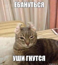 Почему среди мужчин так много мудаков?