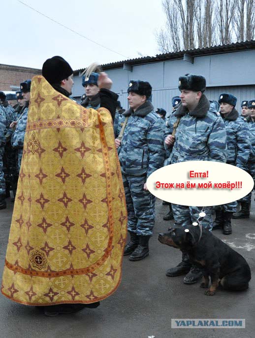 Во имя отца, сына....