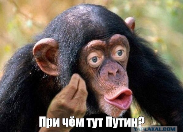 «Если нужно убить, то убьем»: директор чеченского телеканала пригрозил критикам Кадырова