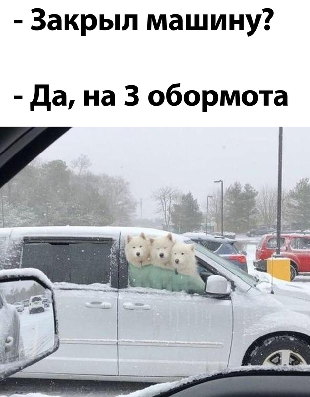Весёлый полтишок 31.08