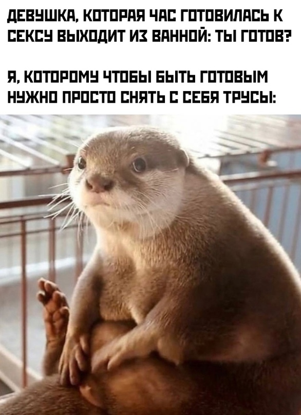Весёлый полтишок 17.09