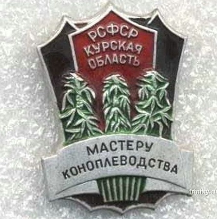 Первая в мире женщина-пилот, с первой же попытки разбила истребитель F-35