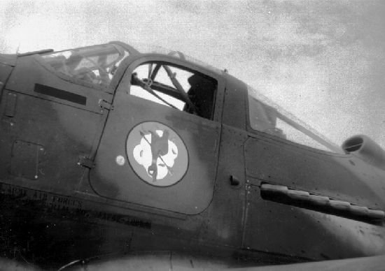 Р-39 Аэрокбра. Американская любимица сталинских соколов. История создания и основные модификации.