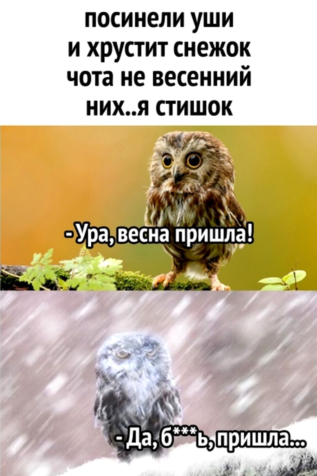 16605794.jpg