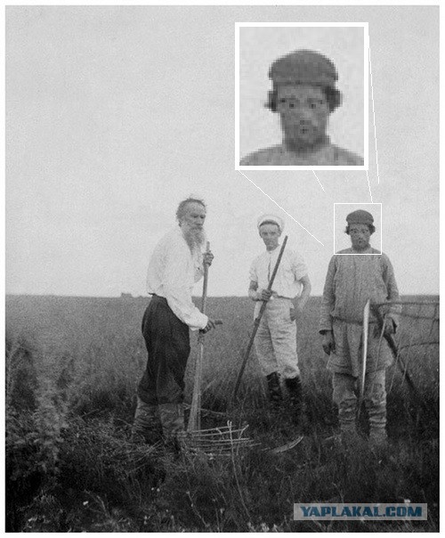 «Графиня изменившимся лицом бежит пруду». Страшная история знаменитой телеграммы