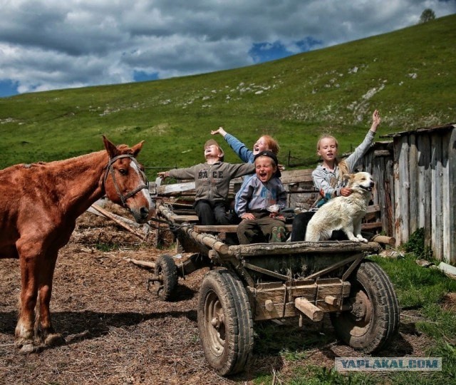 К бабушке в деревню!
