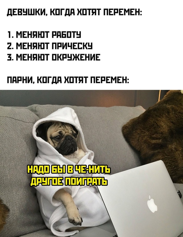 Картинки и мемы для настроения  - 31