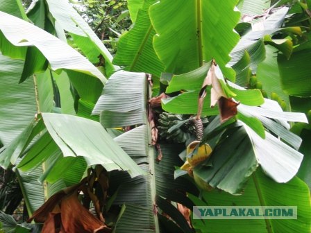 Где бюджетно отдохнуть?