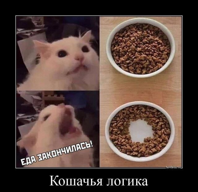 Картинки с надписями 02.07.22