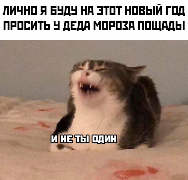 Немного картинок для настроения - 105