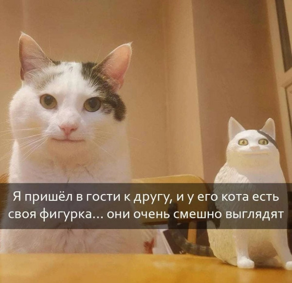 Картинки и мемы для настроения - 119