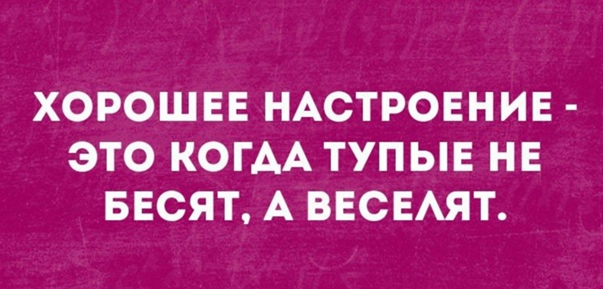 Боба с Бибой снова в деле