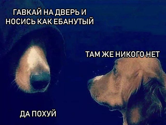 Картинок разной степени @банутости псто.