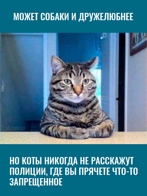 Подборка служебных собак