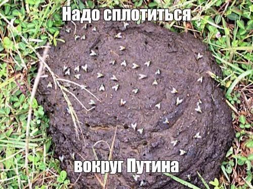 Опрос ВЦИОМ. Кто эти 10 человек?