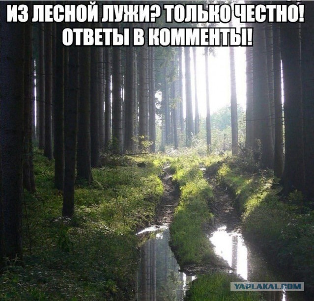 Так себе картинки 06.10.23
