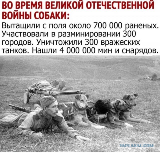 Я такой же