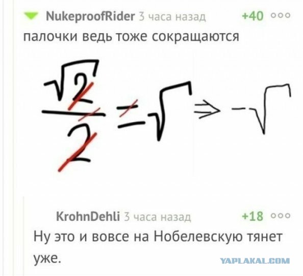 Весёлый полтишок 22.04.24