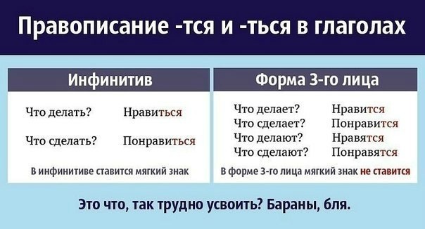 Работа мечты: так проходят дни сотрудников нацпарка Вирунга в Конго, которые ухаживают за осиротевшими детенышами горилл