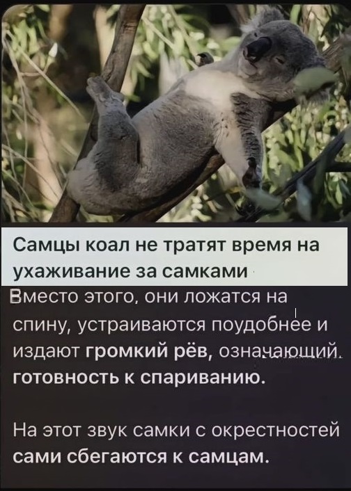 Картинки разные с надписями и без