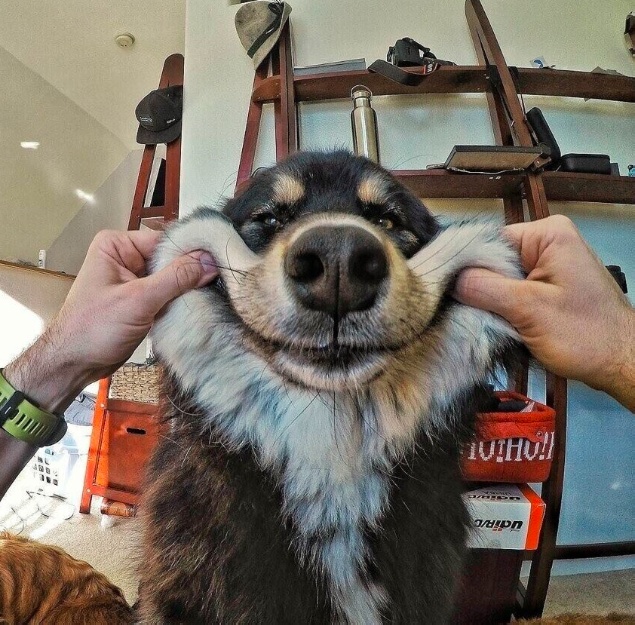 Картинки разные с надписями и без