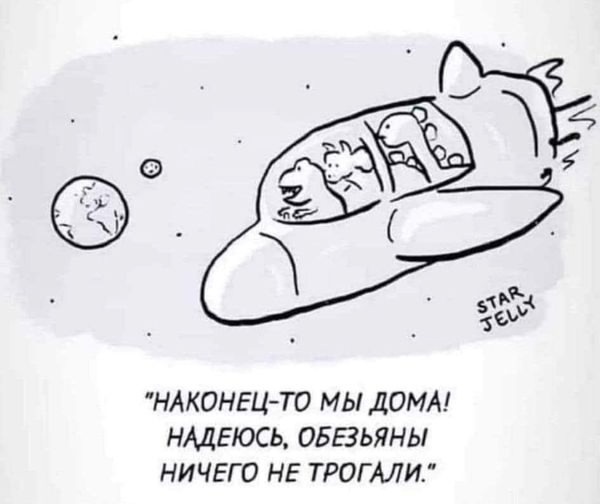 Так себе картинки 08.11.24