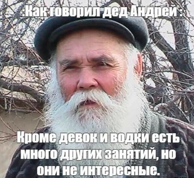 Весёлый полтишок 23.01.25