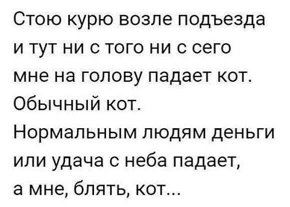 Так себе картинки 17.02.25
