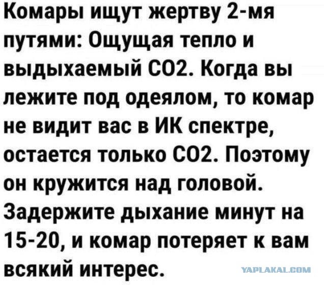 Так себе картинки 03.07.25