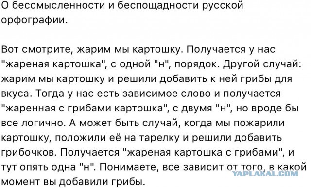 Немного о правилах русского языка