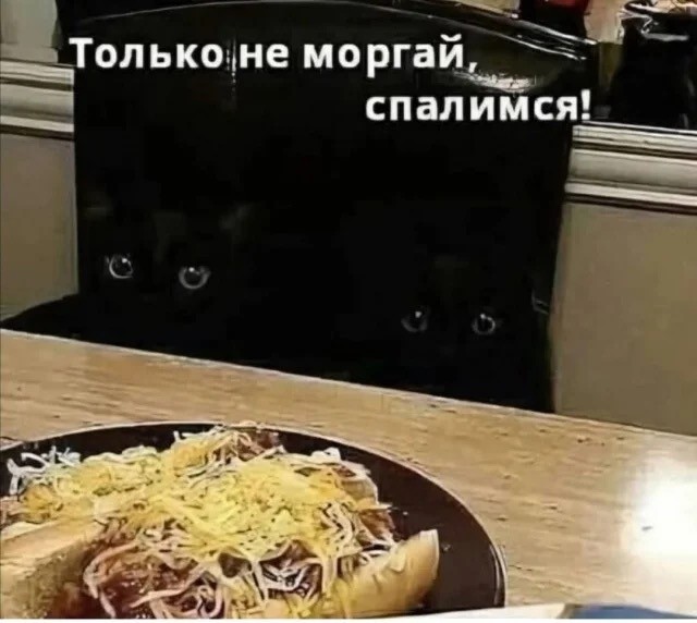 Субботние картинки