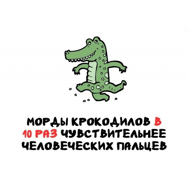 Интересные и короткие факты на все случаи жизни 05.01.26