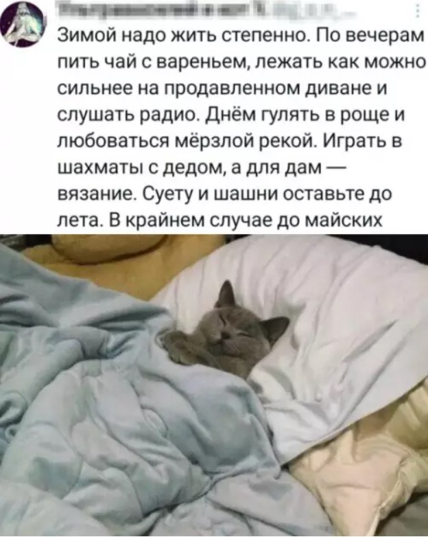 Картинки для деградации 125 (разной степени свежести)