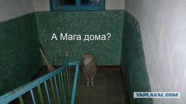Эпическое признание в любви...