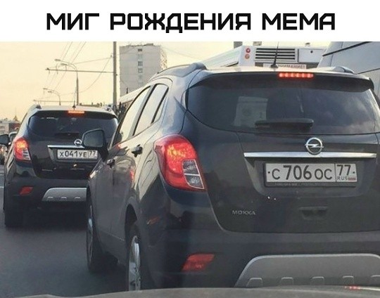 Картинки для деградации 204 (разной степени свежести)