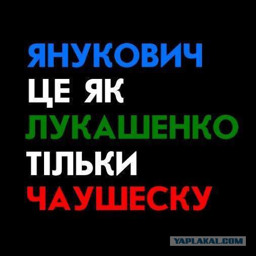 Типичные представители майдана