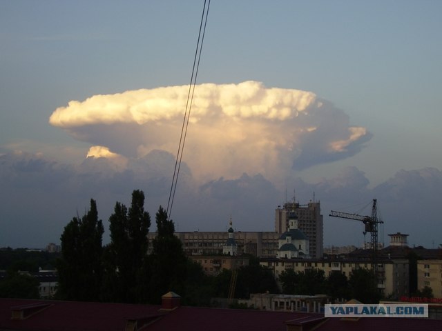 Фотография, сделанная при жизни