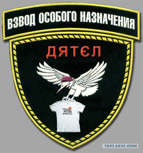 Беркут.