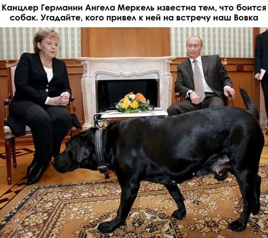 Небольшая подборка для улыбки!