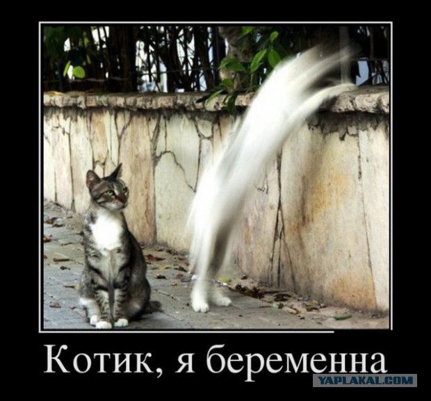 Демотиваторы.